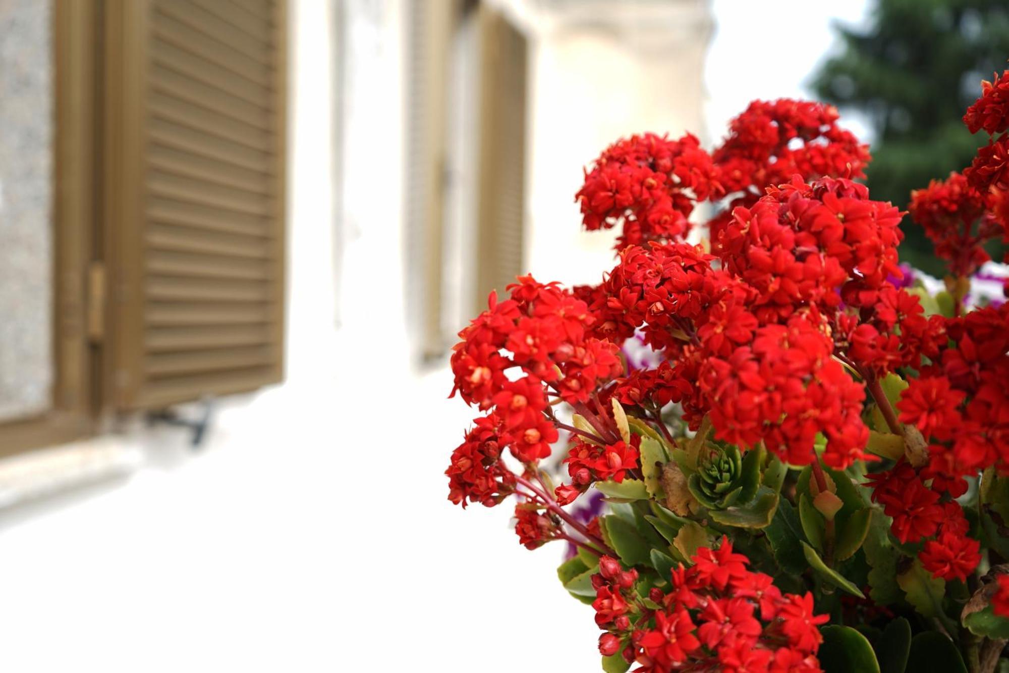 Ostuni Dream House Exterior foto